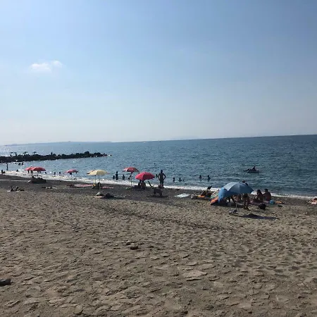 Spano فيلة